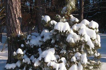 #lód #Lublin #mróz #śnieg #Zima