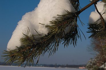 #lód #Lublin #mróz #śnieg #Zima