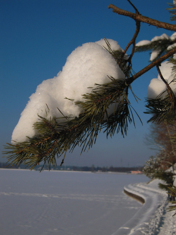 #lód #Lublin #mróz #śnieg #Zima
