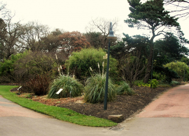 Edynburg ,Royal Botanic Garden