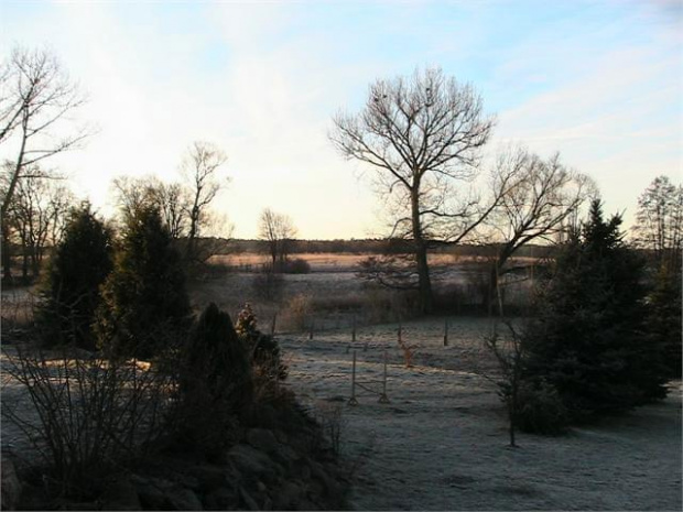 02.03.2013