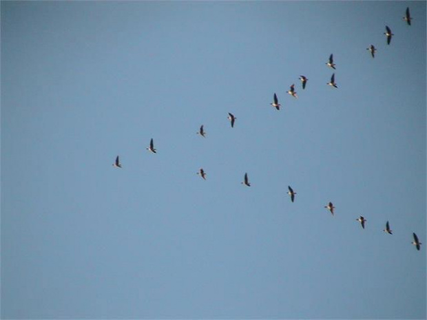 02.03.2013