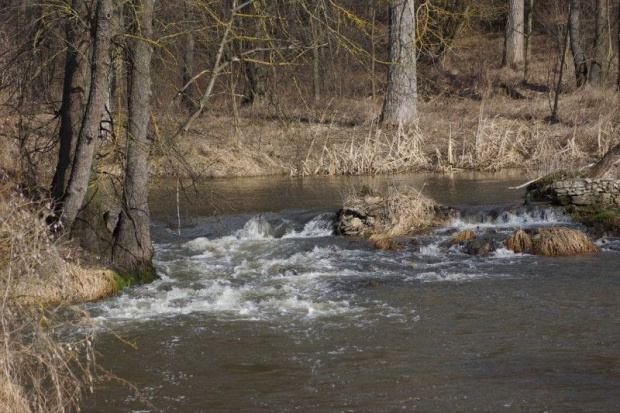 ŚWIĘTOKRZYSKIE