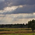 szuflada: z wypadów nad Odrę (mąż udaje, że łapie ryby, a ja mam czas przyjrzeć się naturze), marzą mi się już :)