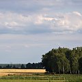 szuflada: z wypadów nad Odrę, nadodrzańskie pola i łąki :)