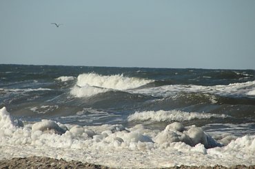 #Dźwirzyno #las #luty #morze #zima