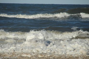 #Dźwirzyno #las #luty #morze #zima