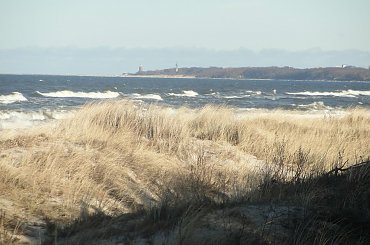 #Dźwirzyno #las #luty #morze #zima