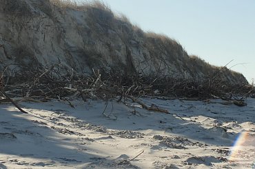 #Dźwirzyno #las #luty #morze #zima