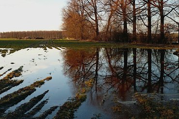 Wiosenne roztopy #pole #woda #wiosna