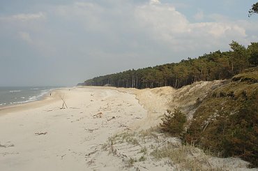 #morze #Mrzeżyno #plaża #wiosna