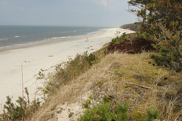 #morze #Mrzeżyno #plaża #wiosna