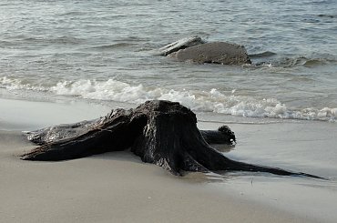 #morze #Mrzeżyno #plaża #wiosna