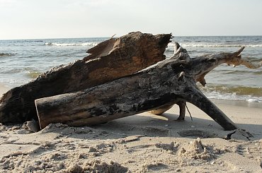 #morze #Mrzeżyno #plaża #wiosna