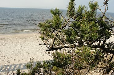 #morze #Mrzeżyno #plaża #wiosna