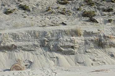 #morze #Mrzeżyno #plaża #wiosna