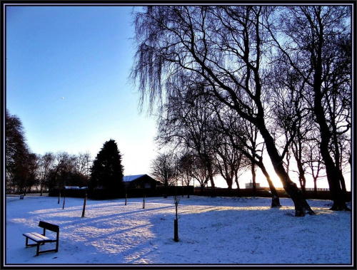 Zimowo w Richmond Park..