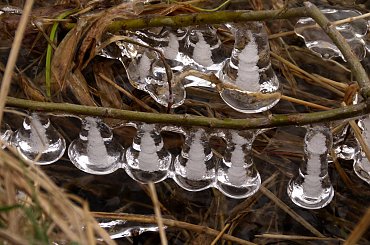 nad rzeką Opavą ... #Chomiąża #NadRzeką #Opava #sople #zima