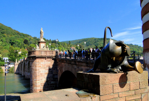 Rzeźba Pawiana #Heidelberg