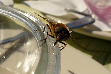 #KolejkaLinowa #Kolejka #Wyciąg #SassoDelFerro #Włochy #góry