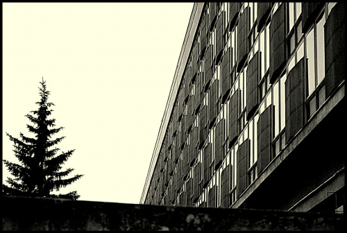 Hotel Cracovia został wybudowany w latach 1961-1964 według projektu Witolda Cęckiewicza, wpisany do rejestru zabytków