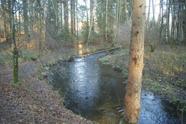 spacerkiem nad rzeczką