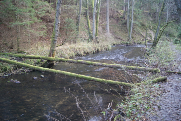 spacerkiem nad rzeczką