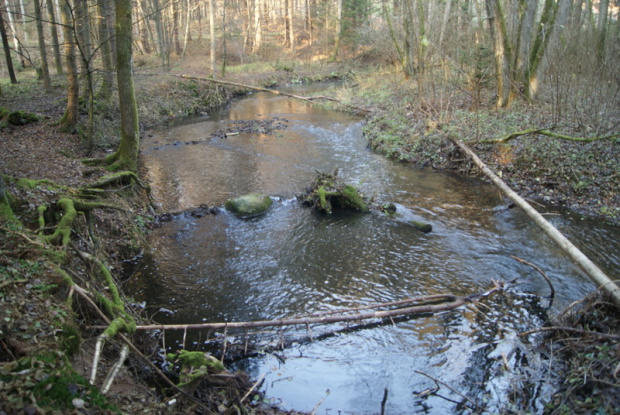 spacerkiem nad rzeczką