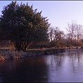 ..Mroźny poranek nad stawem w Richmond Park...Życzę Wam wszystkim miłego dnia i weekendu..pozdrawiam :)