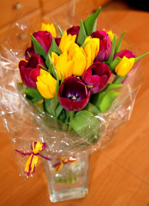 Skromnym bukiecikiem tulipanów dziękuję Wszystkim za urodzinowe życzenia.