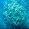Rafa koralowa w Ghalib #Egipt #Ghalib
