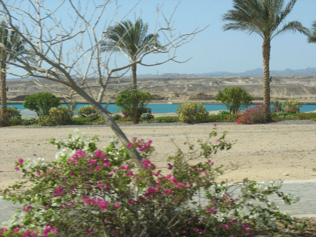 Laguna w Ghalib #Egipt #Ghalib