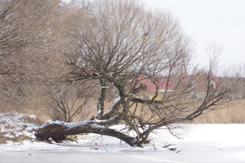 świętokrzyskie
