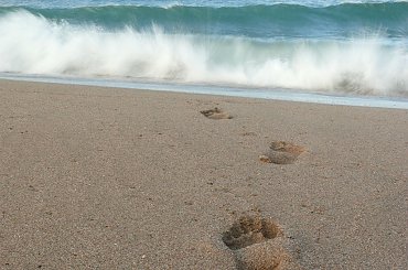 #CostaBrava #Hiszpania