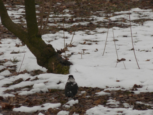 #park #ParkPołudniowy #Wrocław