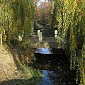 Park przy pałacu w Jędrzychowicach