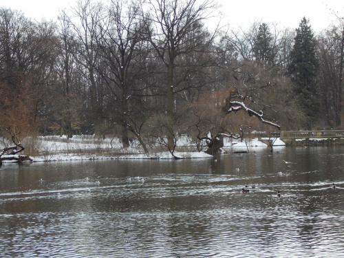 #park #ParkPołudniowy #Wrocław