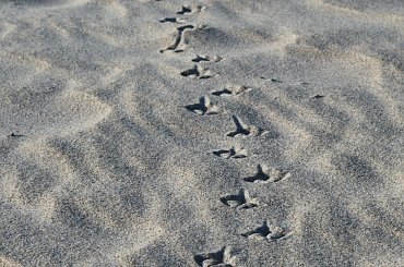 został tylko ... #plaża