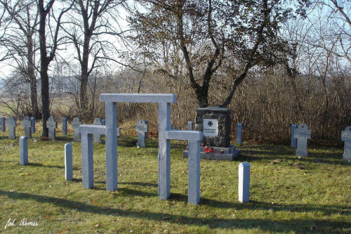 Dłutowo - cmentarz wojenny 1914/15 #Dłutowo