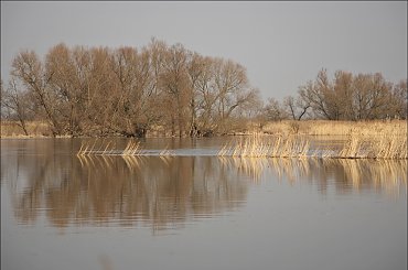 nad Odrą #rzeka #Odra #wiosna