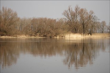nad Odrą #Odra #rzeka