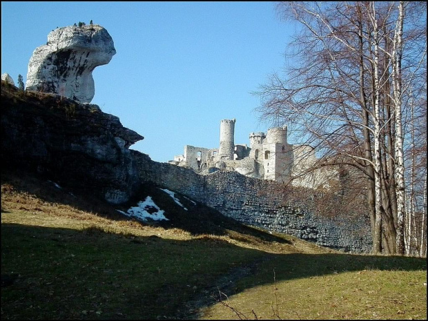 Zamek Ogrodzieniec...