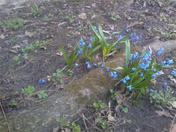 21.04.2013