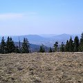 Luboń Wielki i Szczebel z Hali Turbacz #góry #beskidy #gorce #HalaTurbacz #krokusy