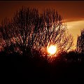 ..Wschód słońca nad Richmond Park...Dedykacja oraz pozdrowienia dla Basi/videll/..:)