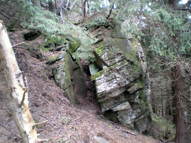 Wychodnia skalna pod wierzchołkiem Kudłonia #góry #beskidy #gorce #kudłoń
