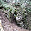 Wychodnia skalna pod wierzchołkiem Kudłonia #góry #beskidy #gorce #kudłoń