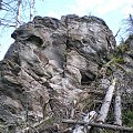 Wychodnia skalna na stokach Kudłonia #góry #beskidy #gorce #kudłoń