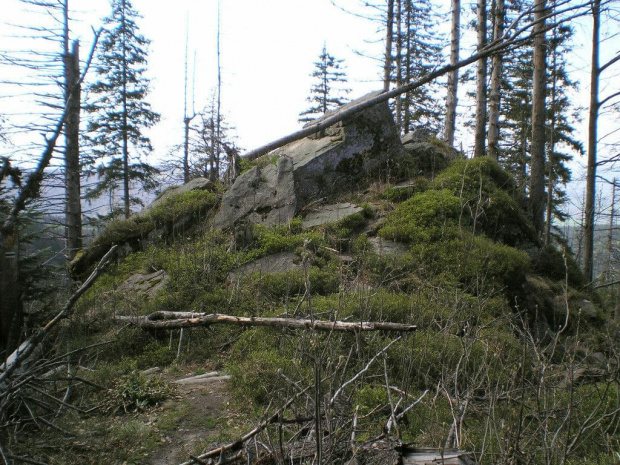 Wychodnia skalna na stokach Kudłonia #góry #beskidy #gorce #kudłoń