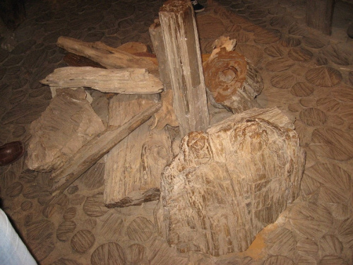 Zagroda Guciów, skamieniałe drewno - ekspozycja geologiczna, 5 05 2013 #Guciów